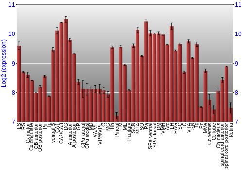 Expression graph