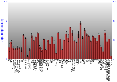 Expression graph