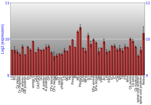Expression graph