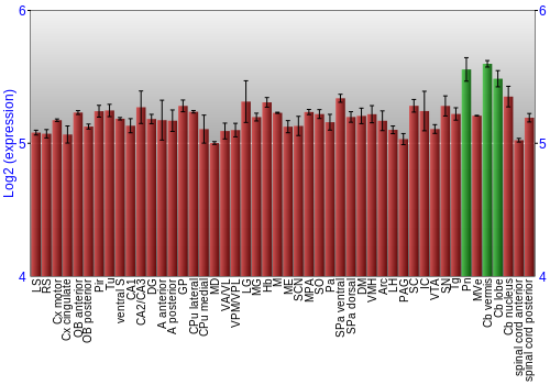 Multi-state expression graph