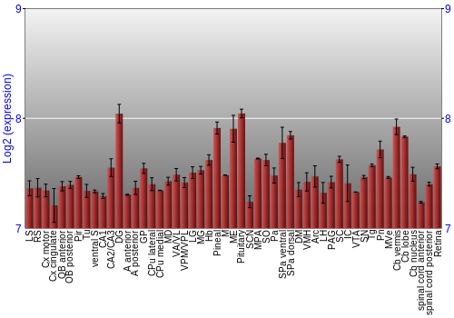 Expression graph