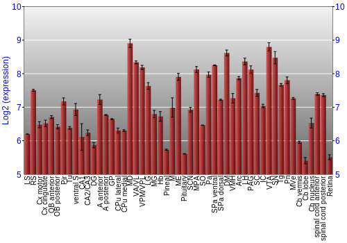 Expression graph