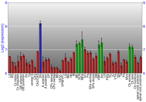 Multi-state expression graph