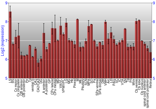 Expression graph