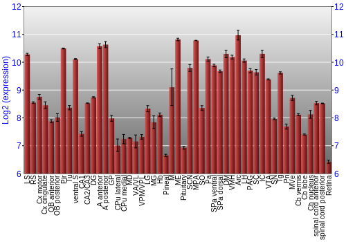 Expression graph