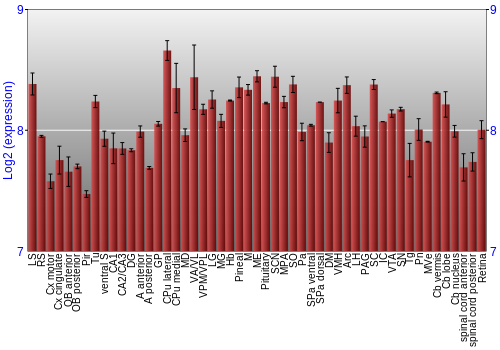 Expression graph