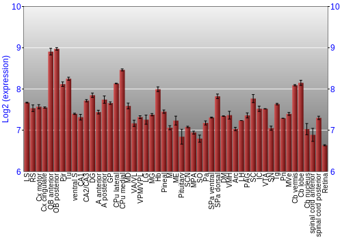 Expression graph