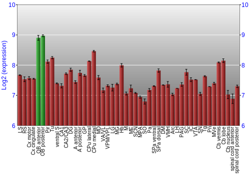 Multi-state expression graph