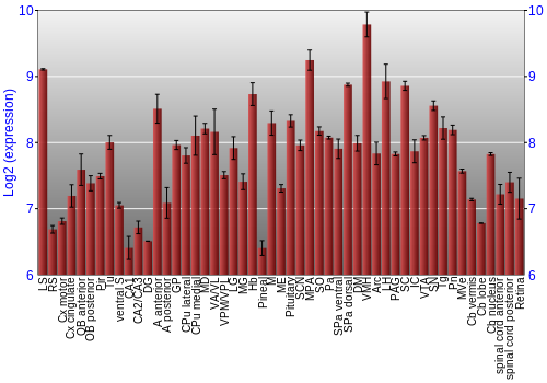 Expression graph