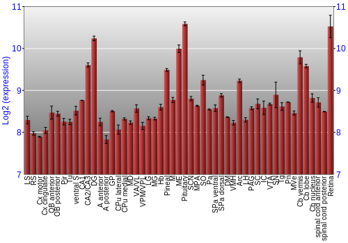 Expression graph