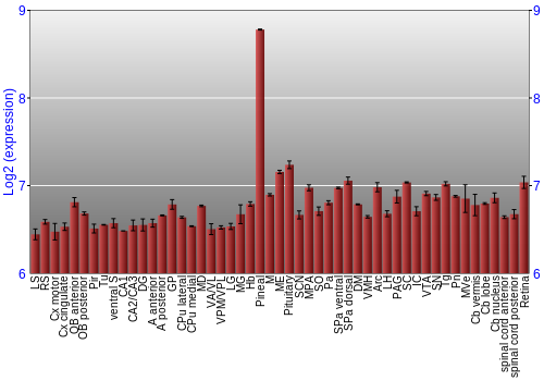 Expression graph