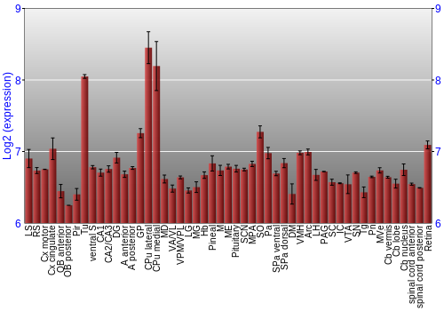 Expression graph
