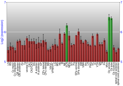 Multi-state expression graph