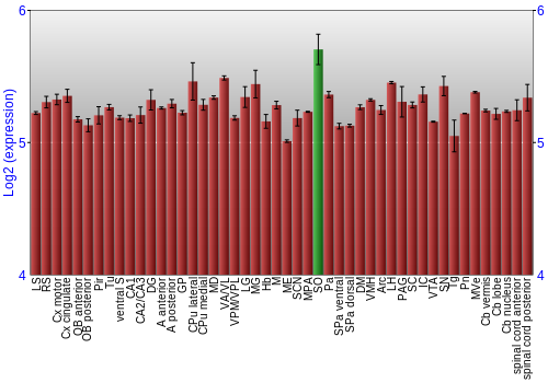 Multi-state expression graph