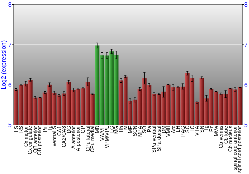 Multi-state expression graph