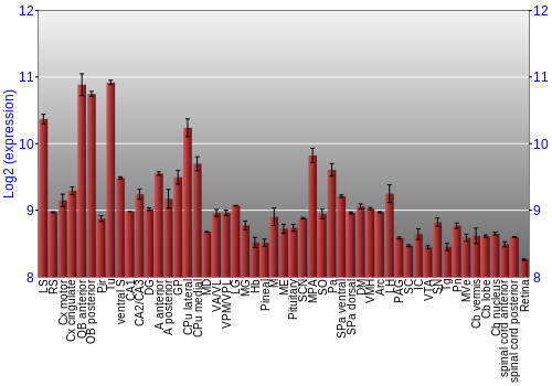 Expression graph