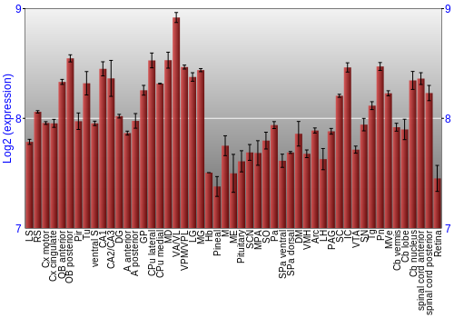 Expression graph