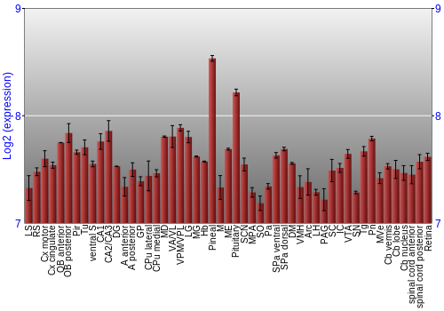 Expression graph