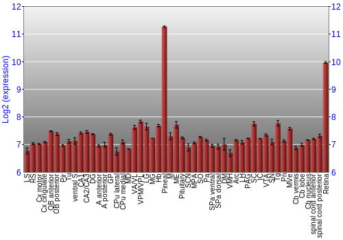 Expression graph