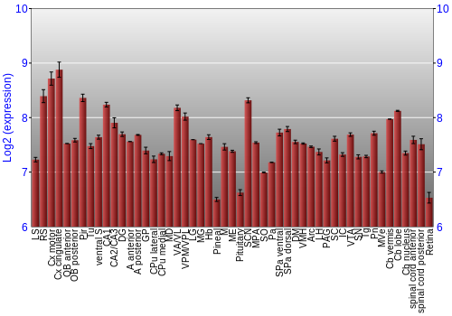 Expression graph