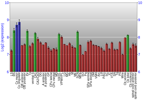 Multi-state expression graph