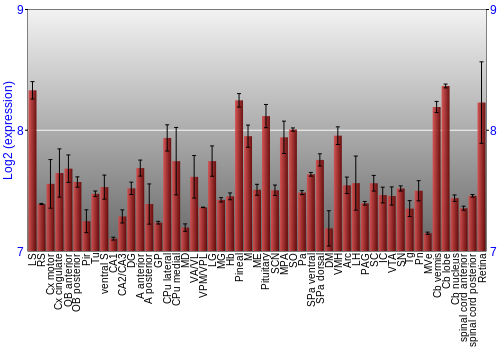 Expression graph