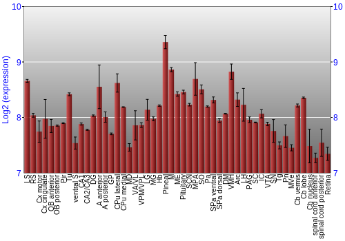 Expression graph