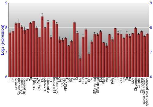 Multi-state expression graph