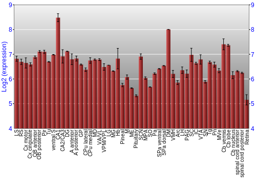 Expression graph