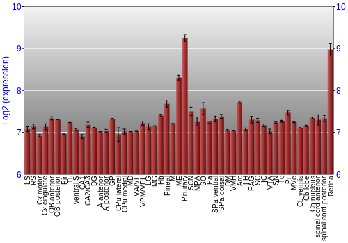 Expression graph