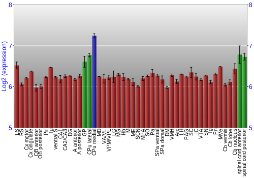 Multi-state expression graph
