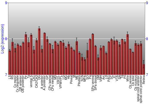 Expression graph