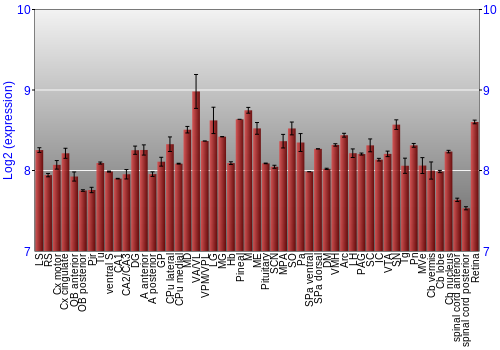 Expression graph