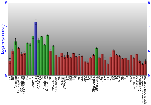 Multi-state expression graph