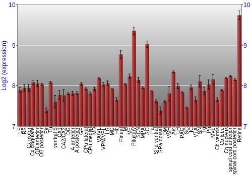 Expression graph