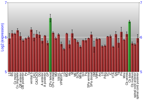 Multi-state expression graph