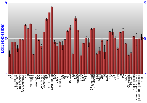 Expression graph