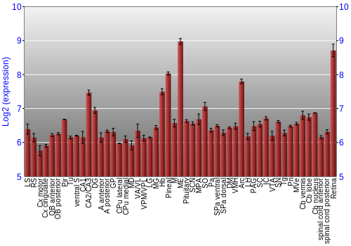Expression graph