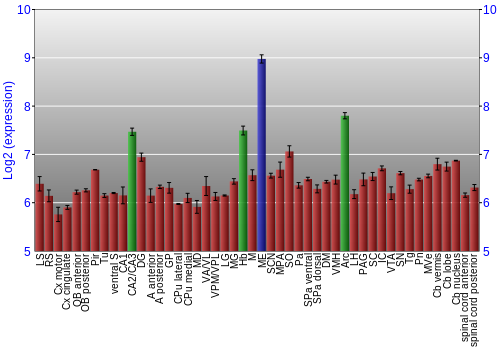 Multi-state expression graph