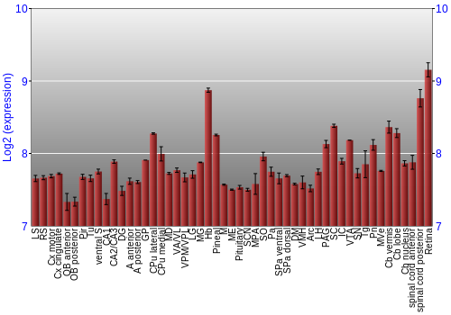 Expression graph