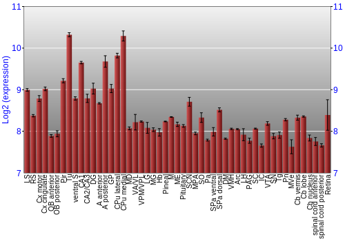 Expression graph