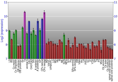 Multi-state expression graph