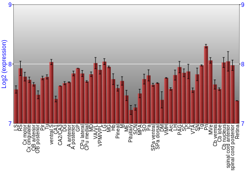 Expression graph
