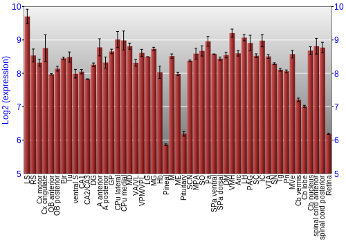 Expression graph