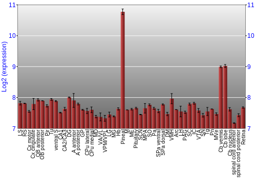 Expression graph