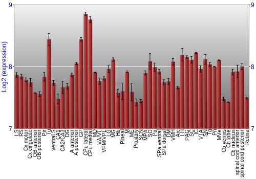 Expression graph