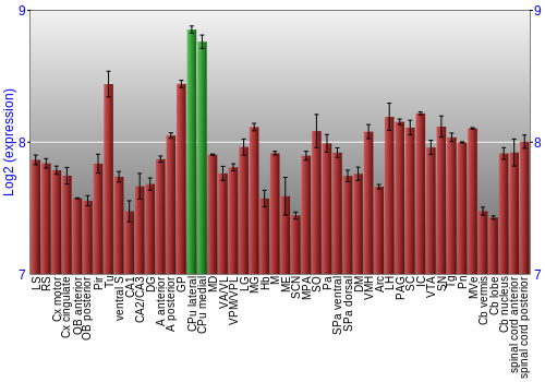 Multi-state expression graph