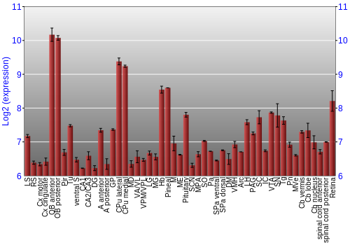 Expression graph