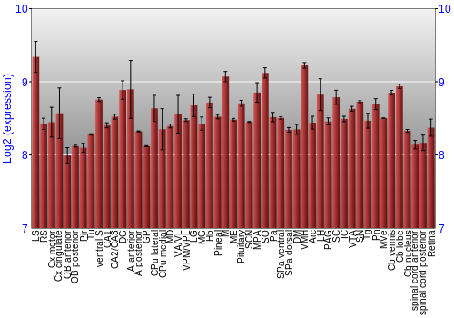 Expression graph
