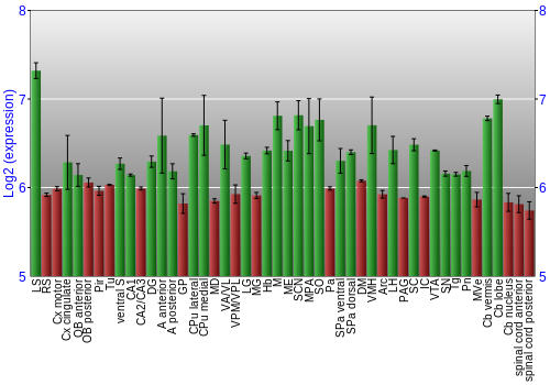 Multi-state expression graph